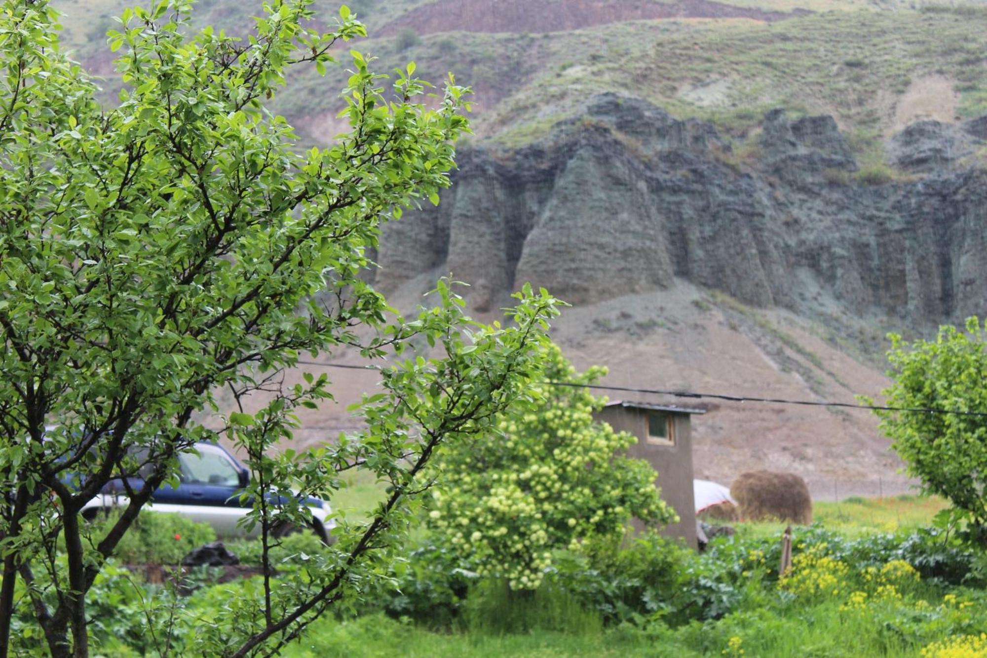 Tirebi Farmhouse Vardzia  Eksteriør billede